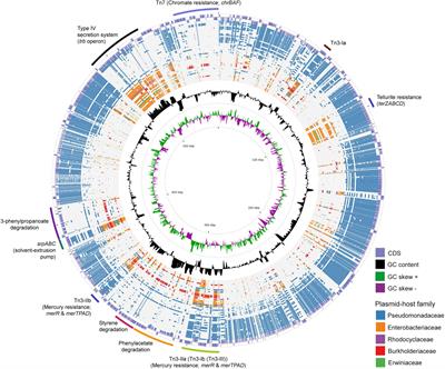 Comparative analysis reveals the modular functional structure of conjugative megaplasmid pTTS12 of Pseudomonas putida S12: A paradigm for transferable traits, plasmid stability, and inheritance?